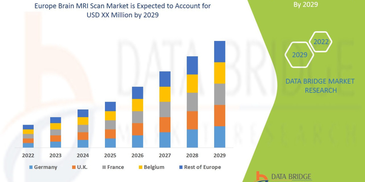 Europe Brain MRI Scan Market Outlook Through 2032 and Beyond Imaging Innovation