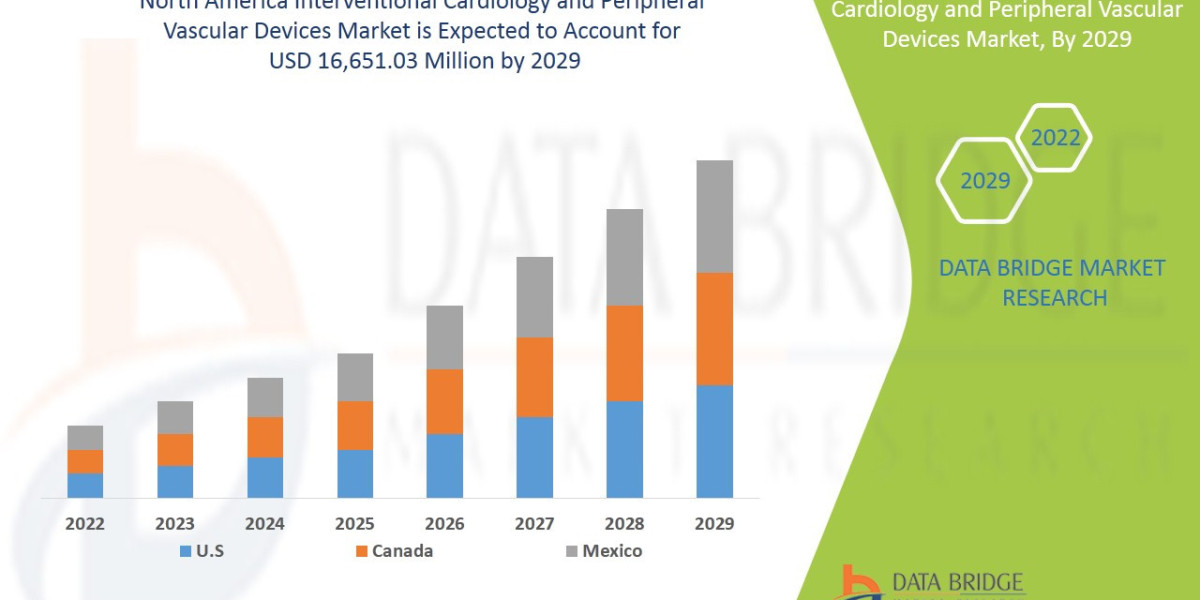 North America Interventional Cardiology and Peripheral Vascular Devices Market: Trends Reshaping Minimally Invasive Care