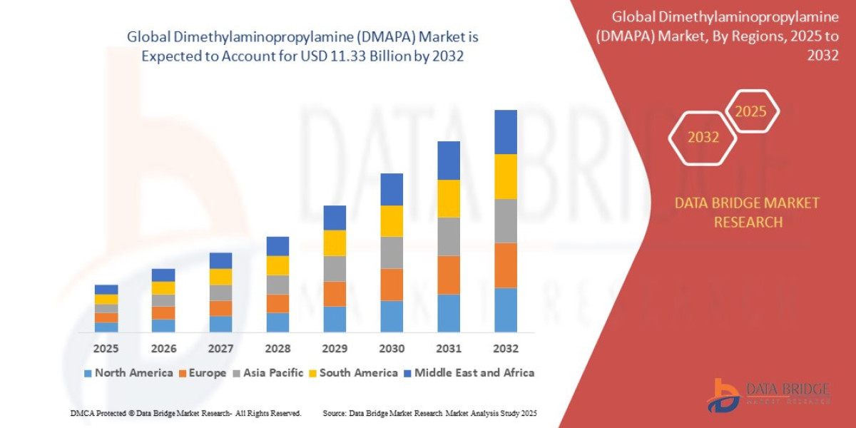 Dimethylaminopropylamine (DMAPA) Market Revenue Forecast: Growth, Share, Value, and Trends