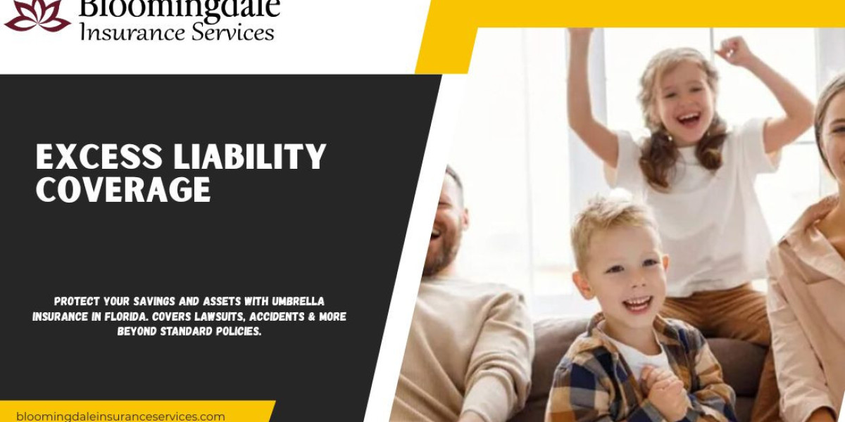 Protect Your Future with Excess Liability Coverage by Bloomingdale Insurance Services