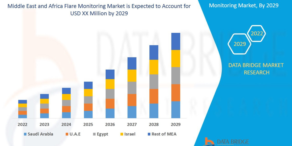 Middle East and Africa Flare Monitoring Market Market Overview: Key Drivers and Challenges