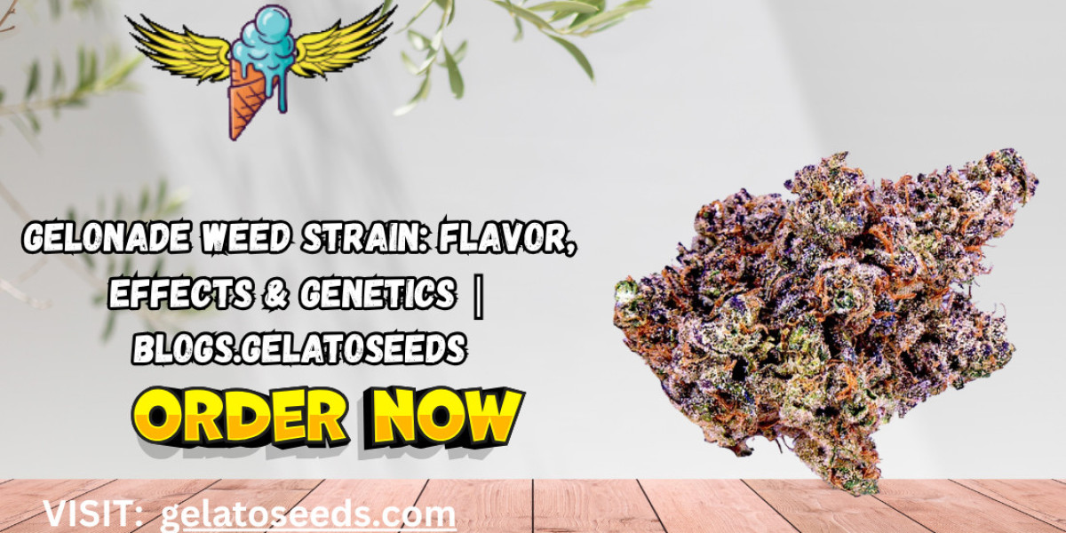 Gelonade Weed Strain: Flavor, Effects & Genetics | Blogs.Gelatoseeds