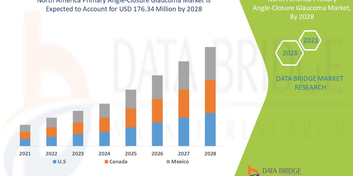 North America Primary Angle-Closure Glaucoma Market Outlook Through 2032 and Beyond Market Insights