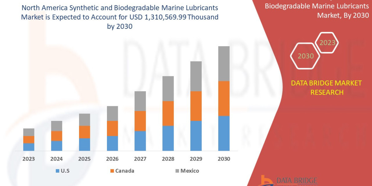North America Synthetic and Biodegradable Marine Lubricants  Market Outlook: Emerging Opportunities & Growth Potenti