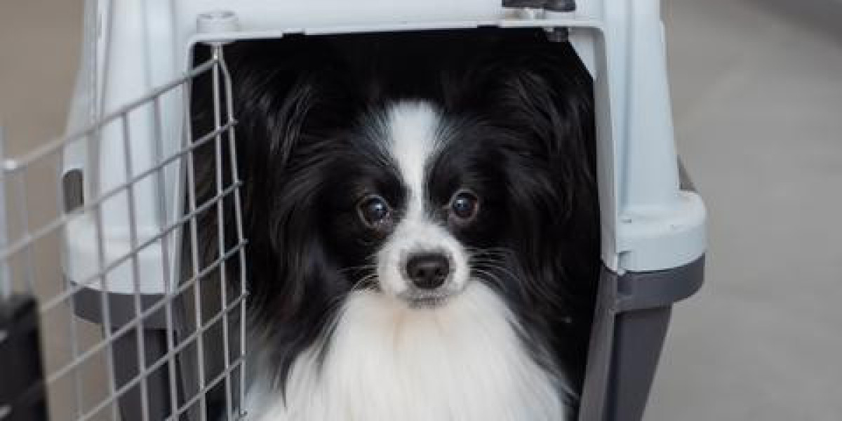 Explore the Best Dog Boxes in Australia for Safe, Comfortable and Rugged Canine Travel