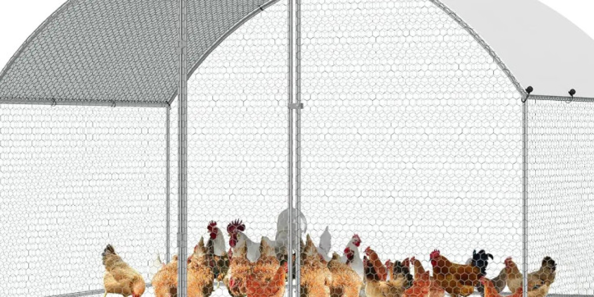 Practical Advantages of Using a Galvanized Chicken Run in Poultry Farming