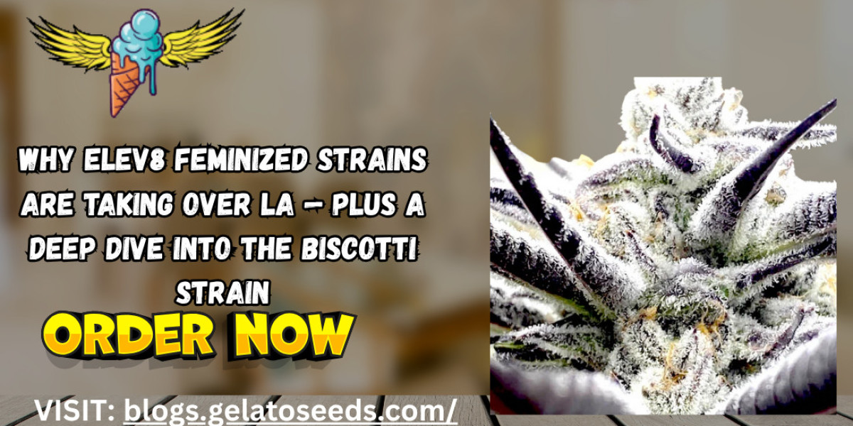 Why Elev8 Feminized Strains Are Taking Over LA — Plus a Deep Dive into the Biscotti Strain