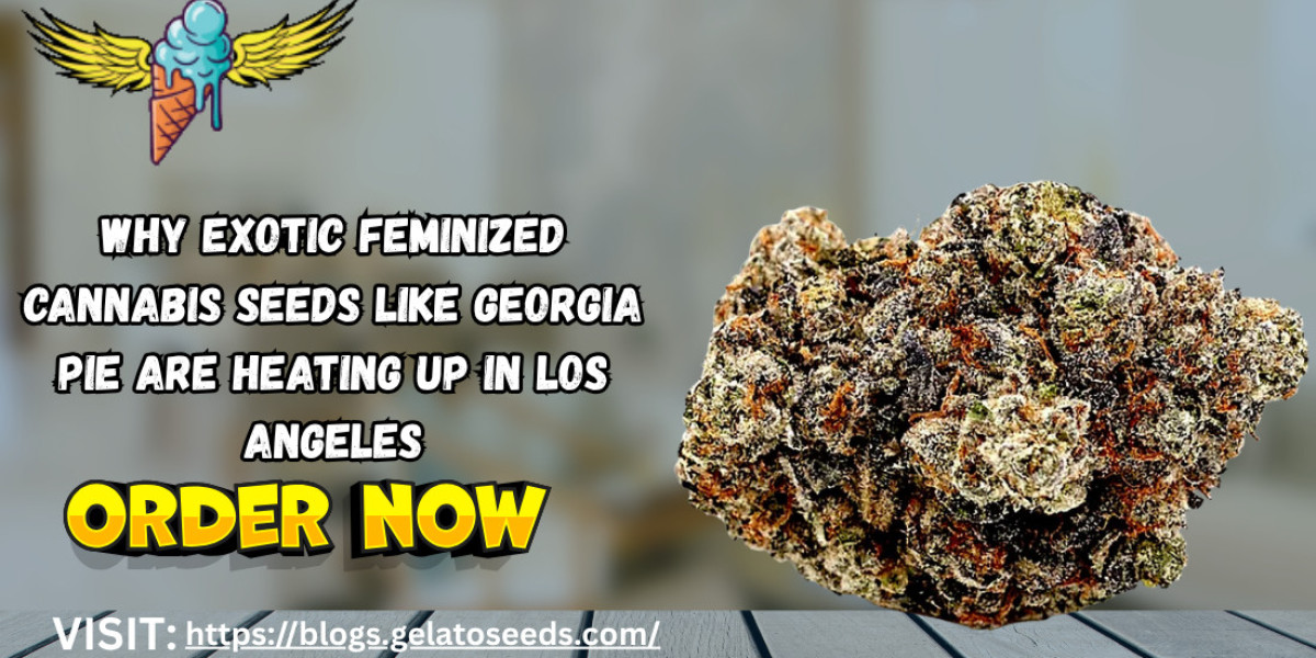 Why Exotic Feminized Cannabis Seeds Like Georgia Pie Are Heating Up in Los Angeles