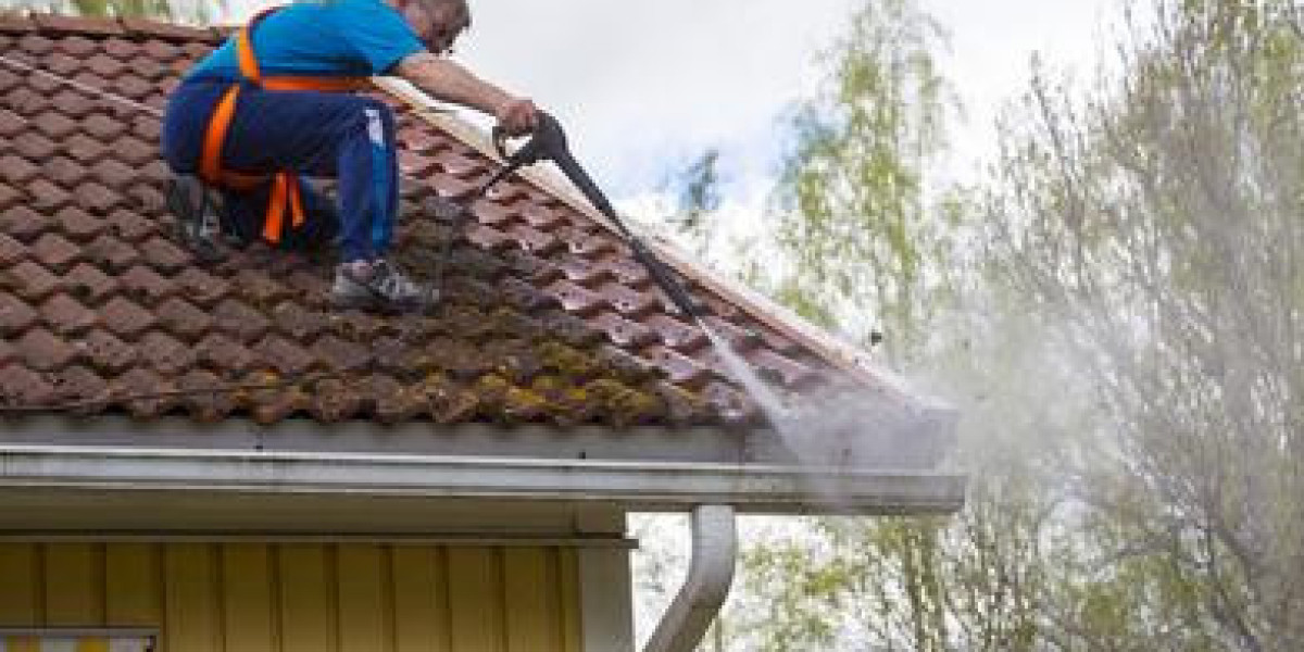 Gutter Cleaning Mannerim: Essential Maintenance for a Safe and Healthy Home