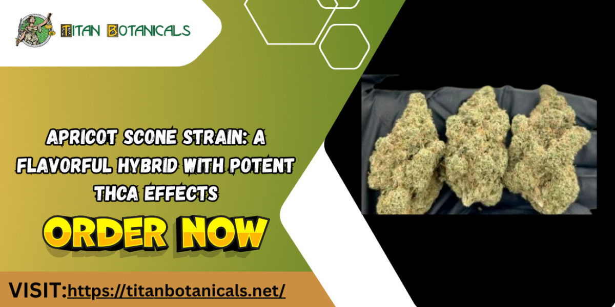 Apricot Scone Strain: A Flavorful Hybrid With Potent THCa Effects