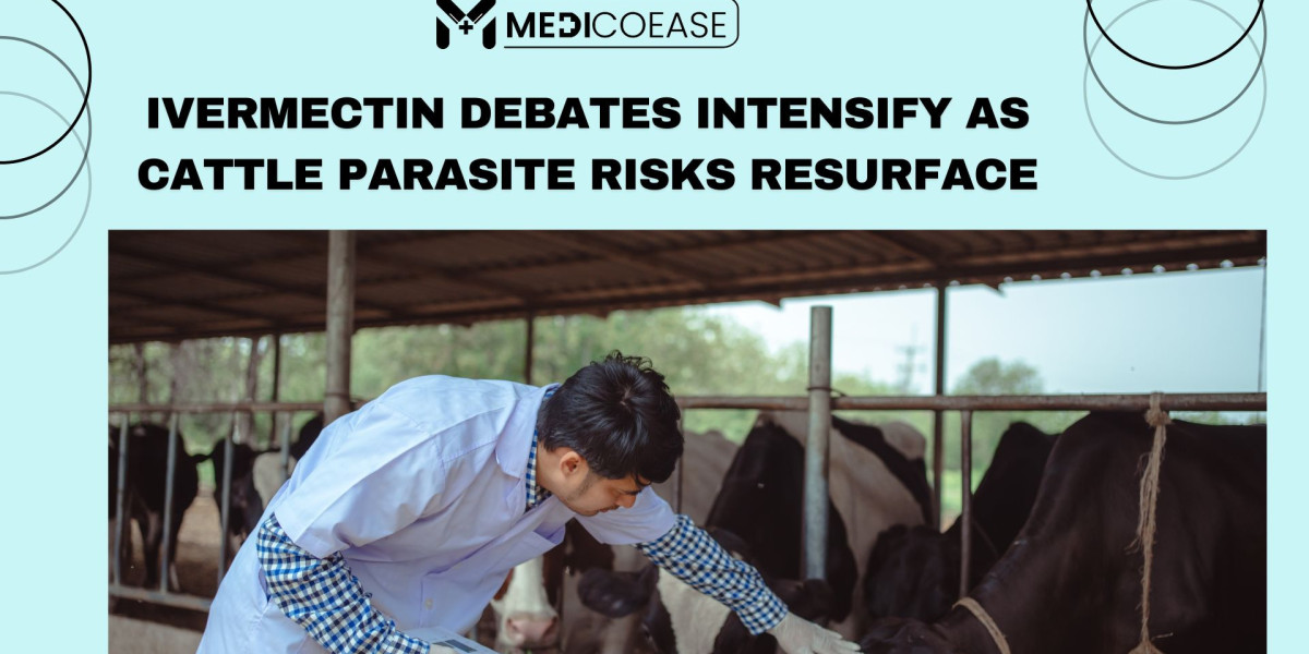 Ivermectin Debates Intensify as Cattle Parasite Risks Resurface