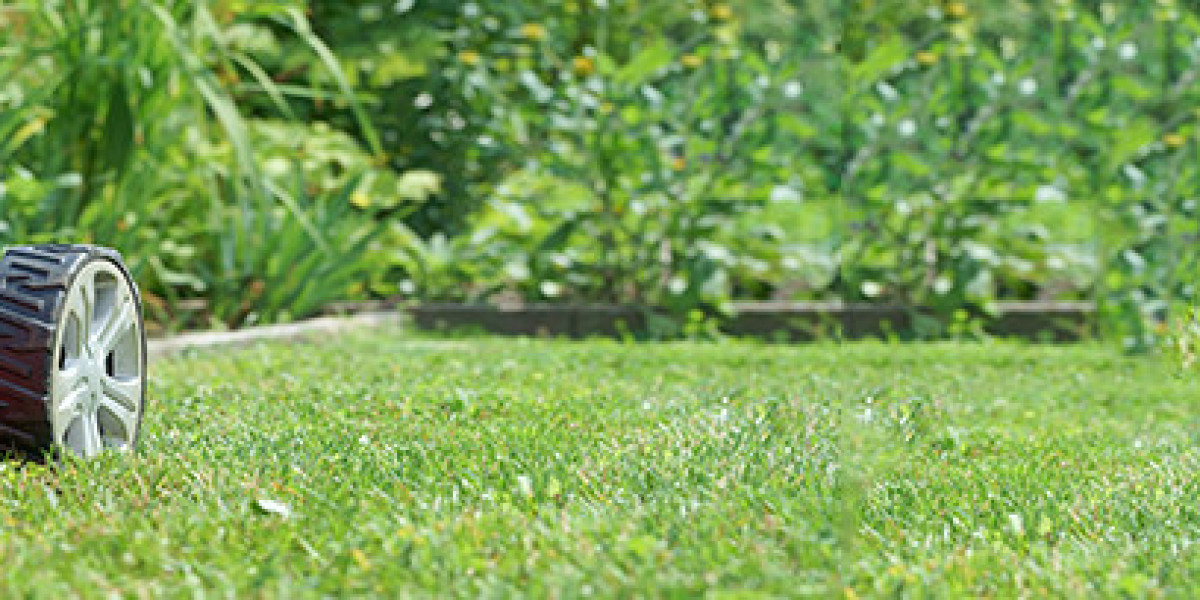 Reliable Garden Maintenance – Year-Round Care for Lawns & Plants