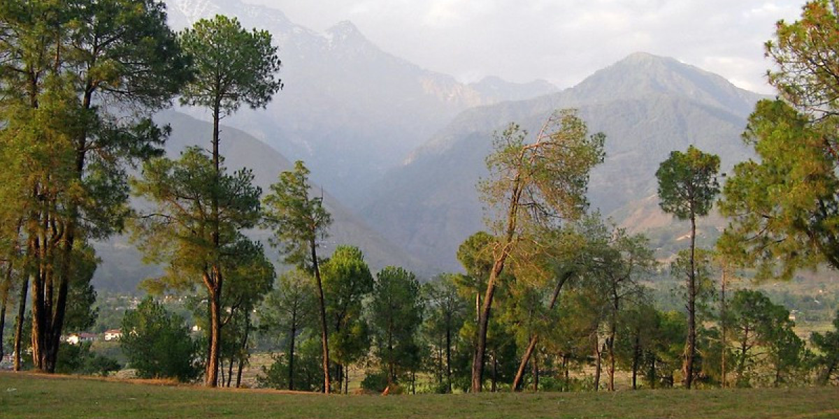 Himachal Pradesh Tour Packages – Explore the Land of Hills, Valleys, and Adventure