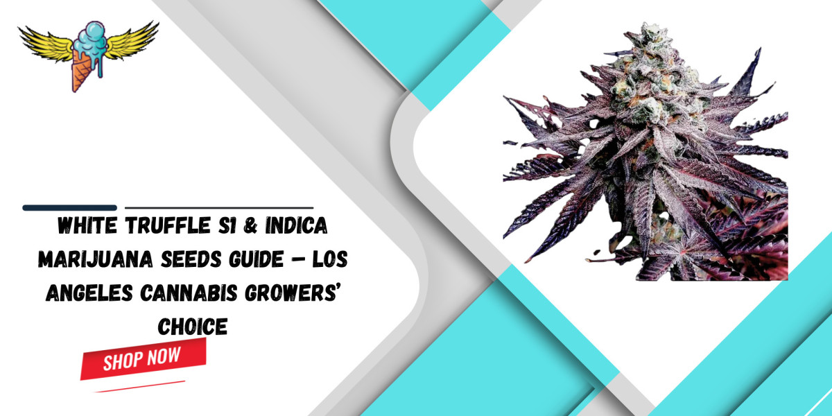 White Truffle S1 & Indica Marijuana Seeds Guide – Los Angeles Cannabis Growers’ Choice