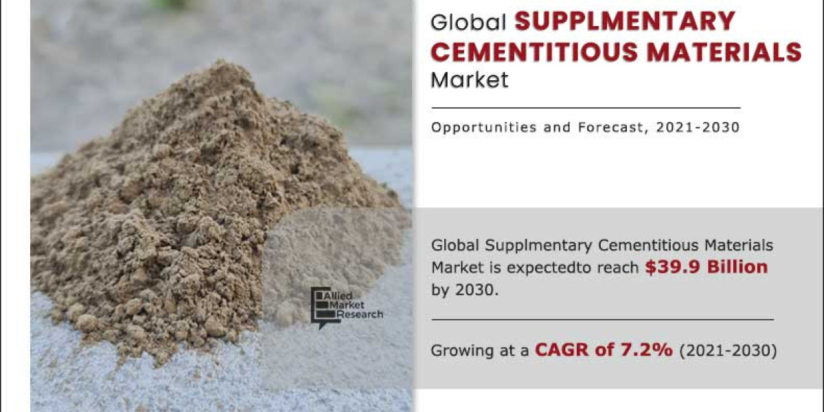 Supplementary Cementitious Materials Market Size, Manufacturer Analysis and Growth Forecast, 2030
