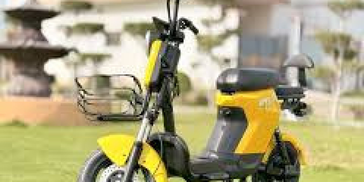 Sun Young Electric Bike: The Future of Eco-Friendly Travel