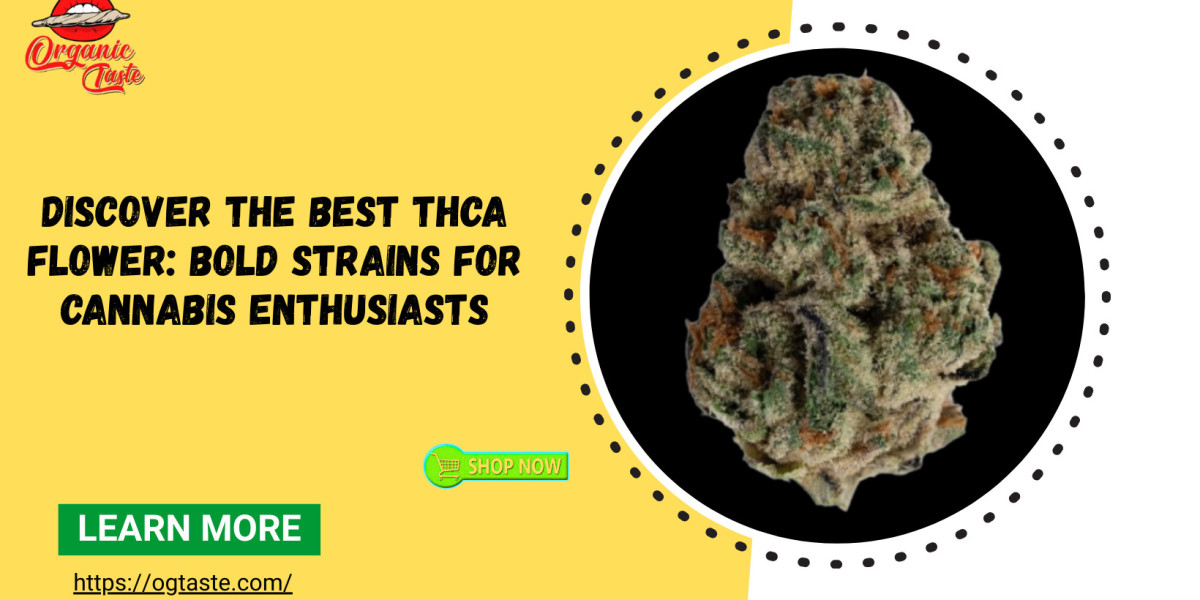 Discover the Best THCa Flower: Bold Strains for Cannabis Enthusiasts