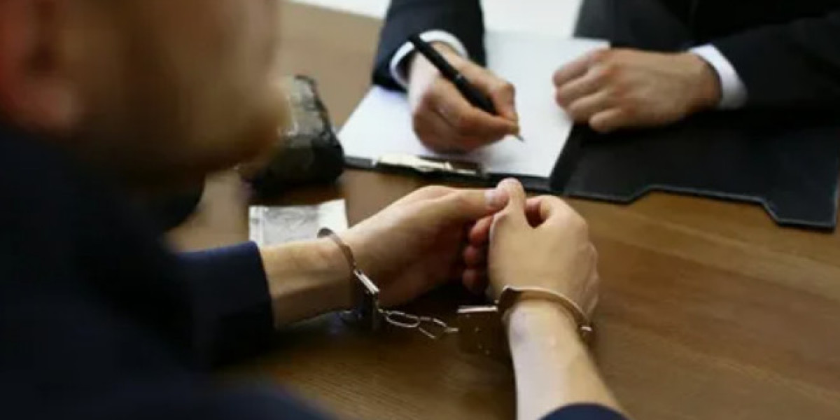 Understanding the Role of a Criminal Immigration Lawyer and How a Law Firm Can Help