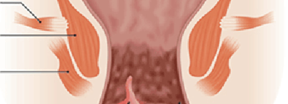 JraVeda Ayurveda Clinic Cover Image