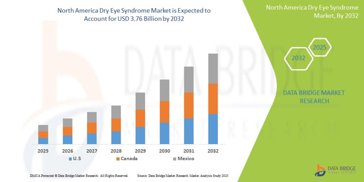 North America Dry Eye Syndrome Market Analysis: Supply Chain, Pricing, and Forecast to 2032