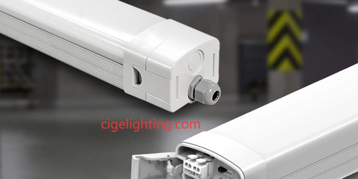 Cigelighting's Corrosion Integrity: Trusted Tri-proof Verification