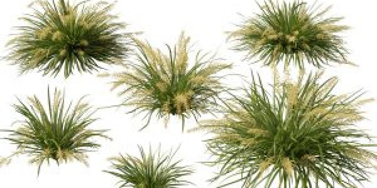 Download Enscape Plants Model for Revit – Free 3D
