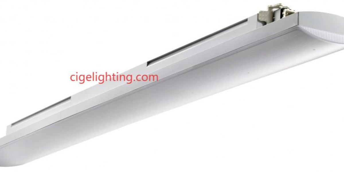 Why Authenticity Matters at Cigelighting Led Waterproof Light Factory