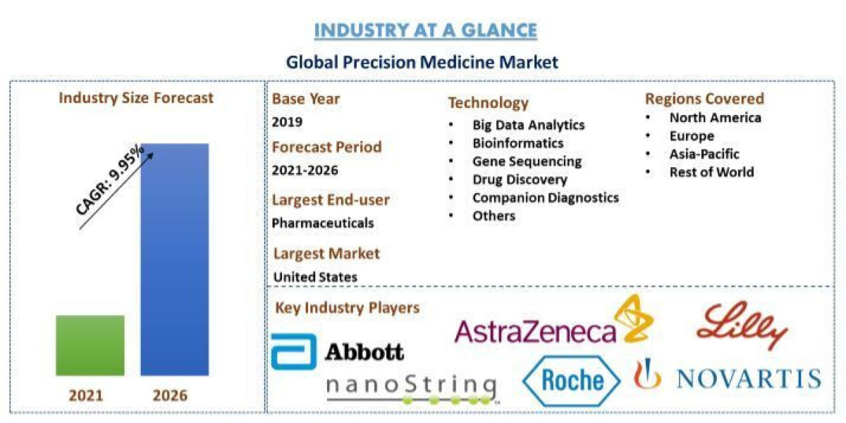 Precision Medicine Market Report, Size, Overview, Trends & Analysis 2026
