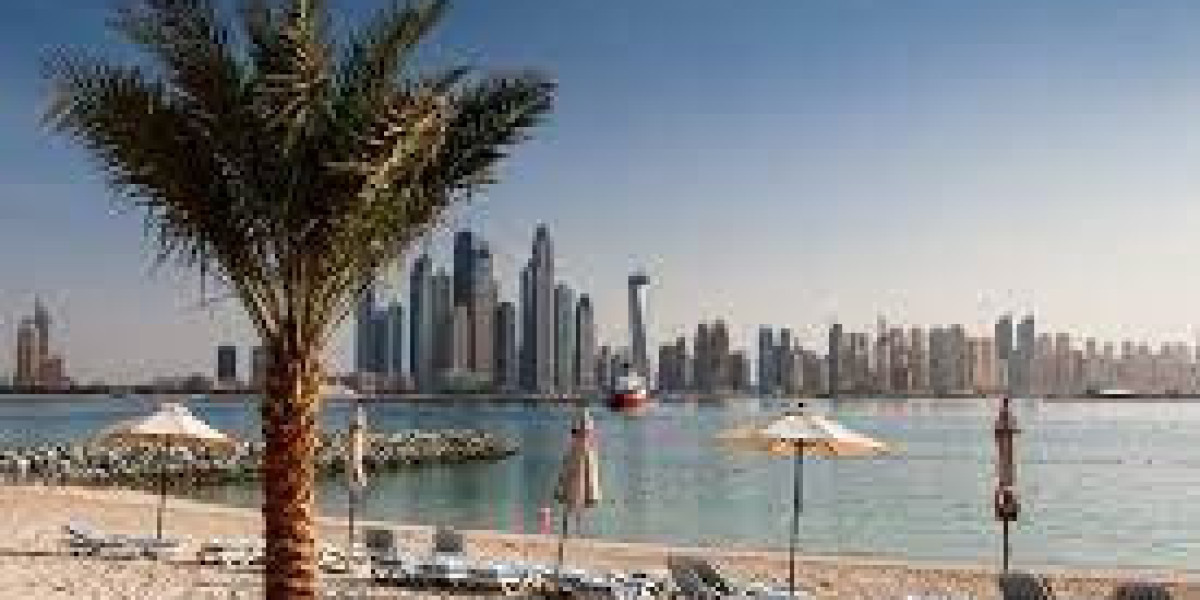 Dubai Visa Process Simplified for Indians—Standard and Express Options