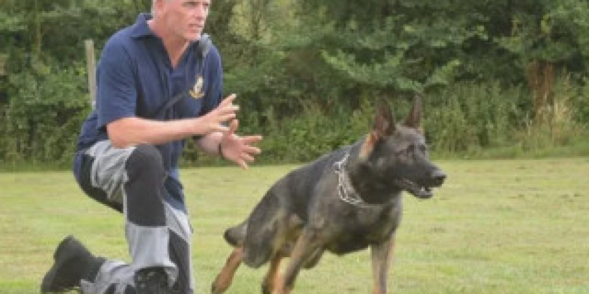 Personal Protection Dogs for Sale: Your Ultimate Guide to Safety and Companionship