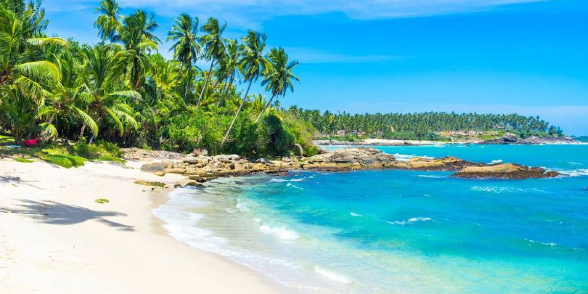 Discover Sri Lanka: Tailored Tour Packages from Bangalore