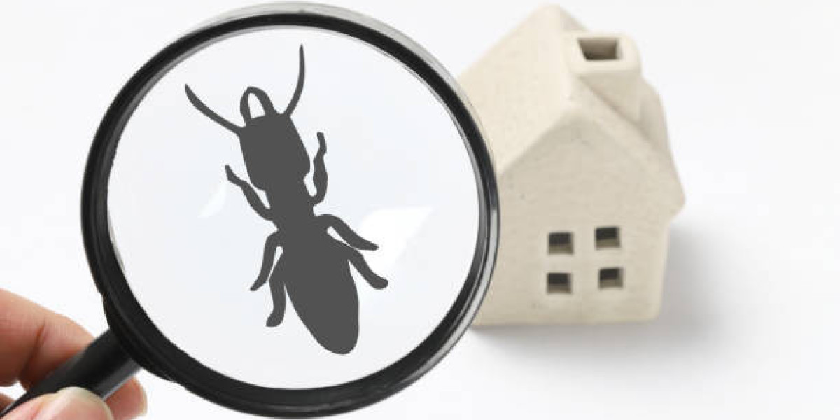 Trusted Termite Inspection Contractors in Cleveland, TX