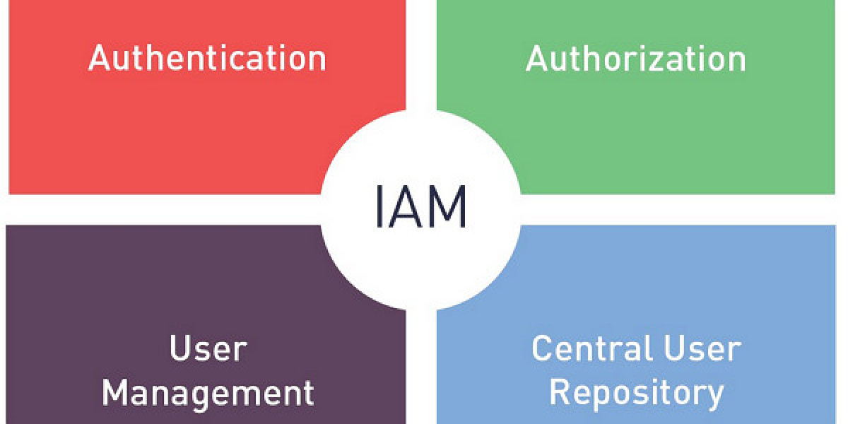 Mapping the Competitive Landscape of the US IAM Market