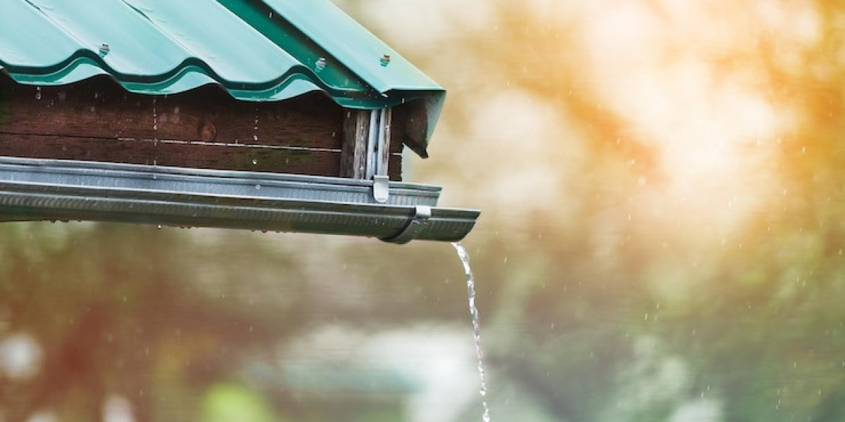 Are Gutter Guards Worth It, Or Should You Rely On Gutter Services In Palisades Park, NJ?