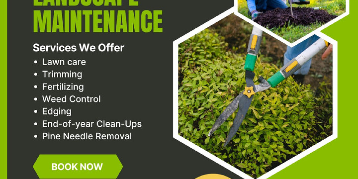 Nature’s Landscape Solutions – Your Partner for Beautiful, Sustainable Outdoor Spaces