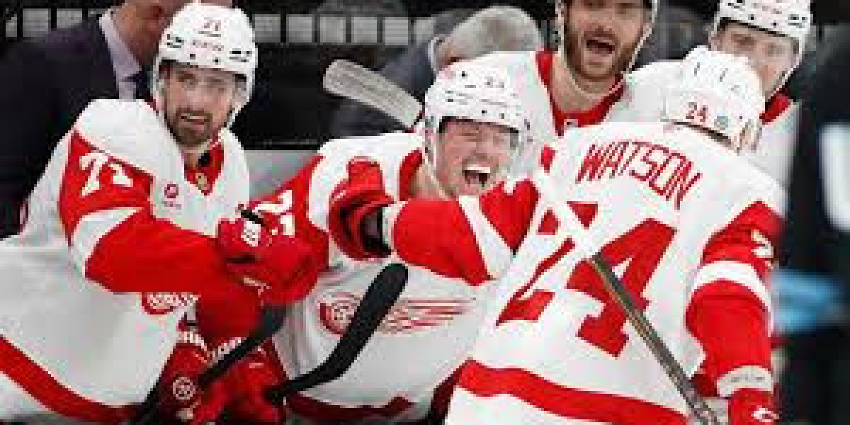 Pink Wings opt for 7 gamers upon instant working day of 2025 NHL Access Draft