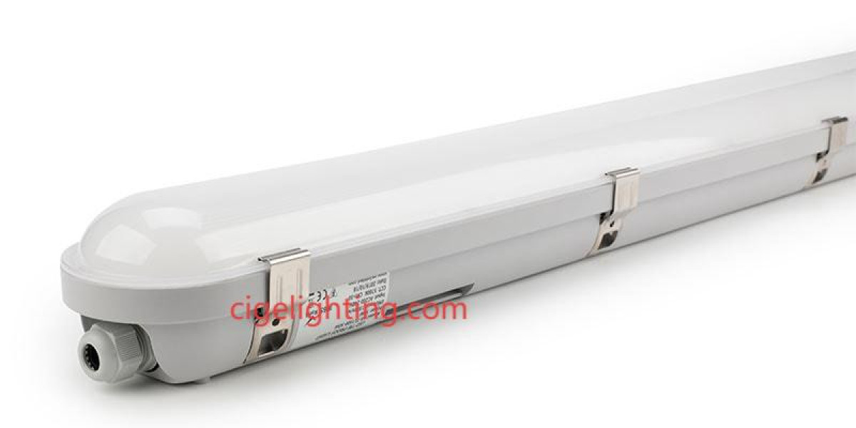 Reliable Cigelighting 5ft Led Triproof Light Performance