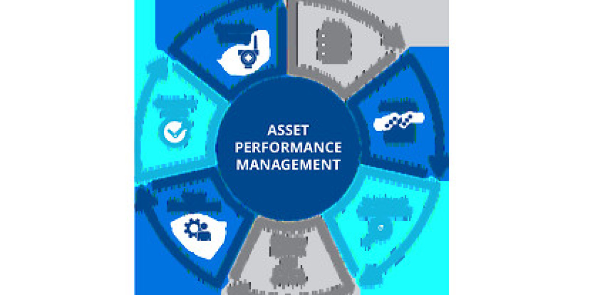 The Evolution and Impact of the Asset Performance Management Industry