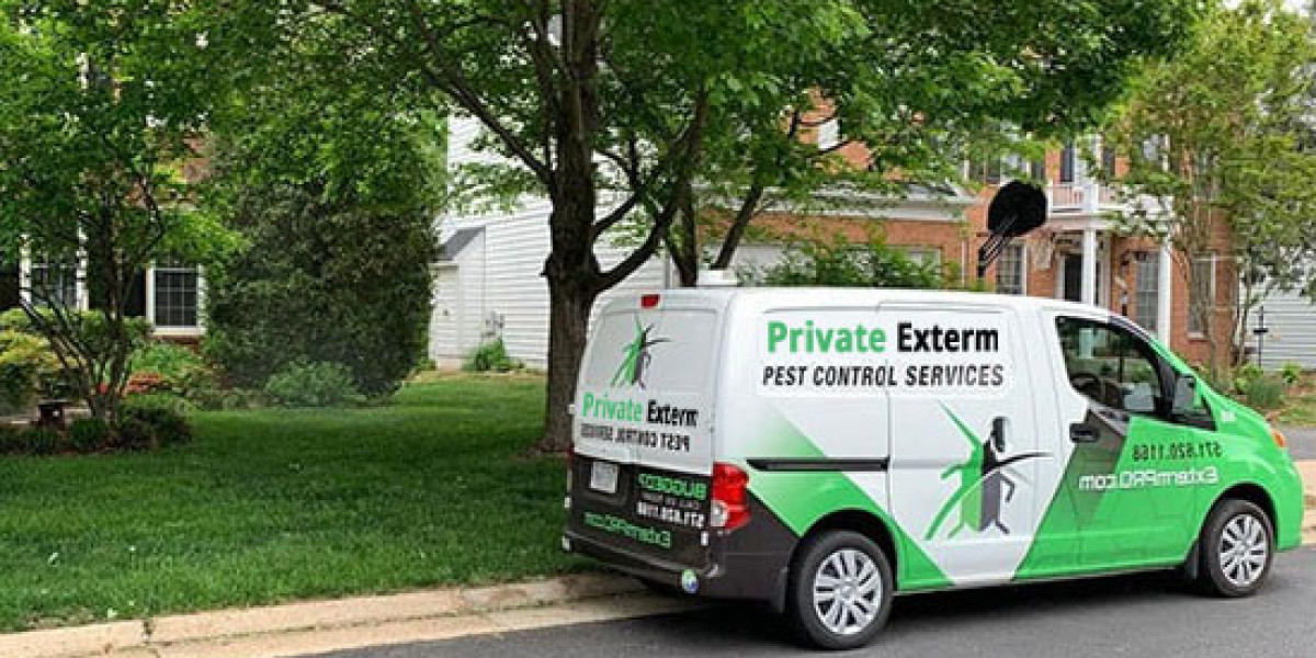 Expert Pest Solutions: Why Brooklyn Homes Need Reliable Exterminators