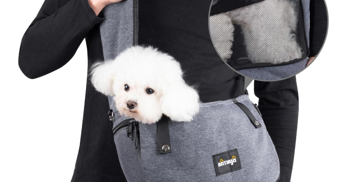 Enjoy Safe and Comfortable Walks with Your Pet