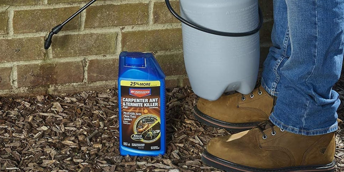 Best Spray for Termites: Safe Choices That Actually Work