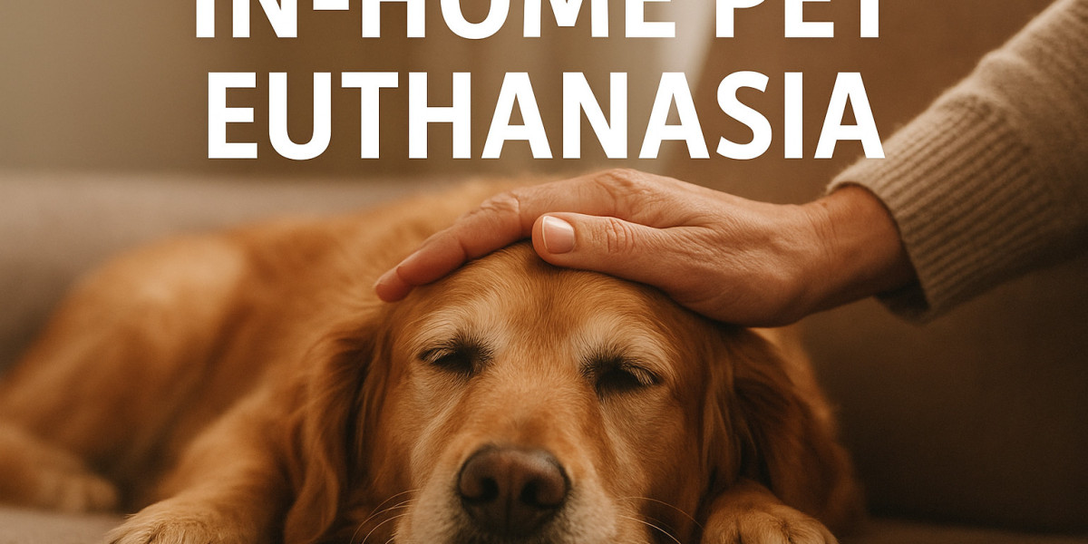 In-Home Pet Euthanasia: A Gentle Goodbye at Home