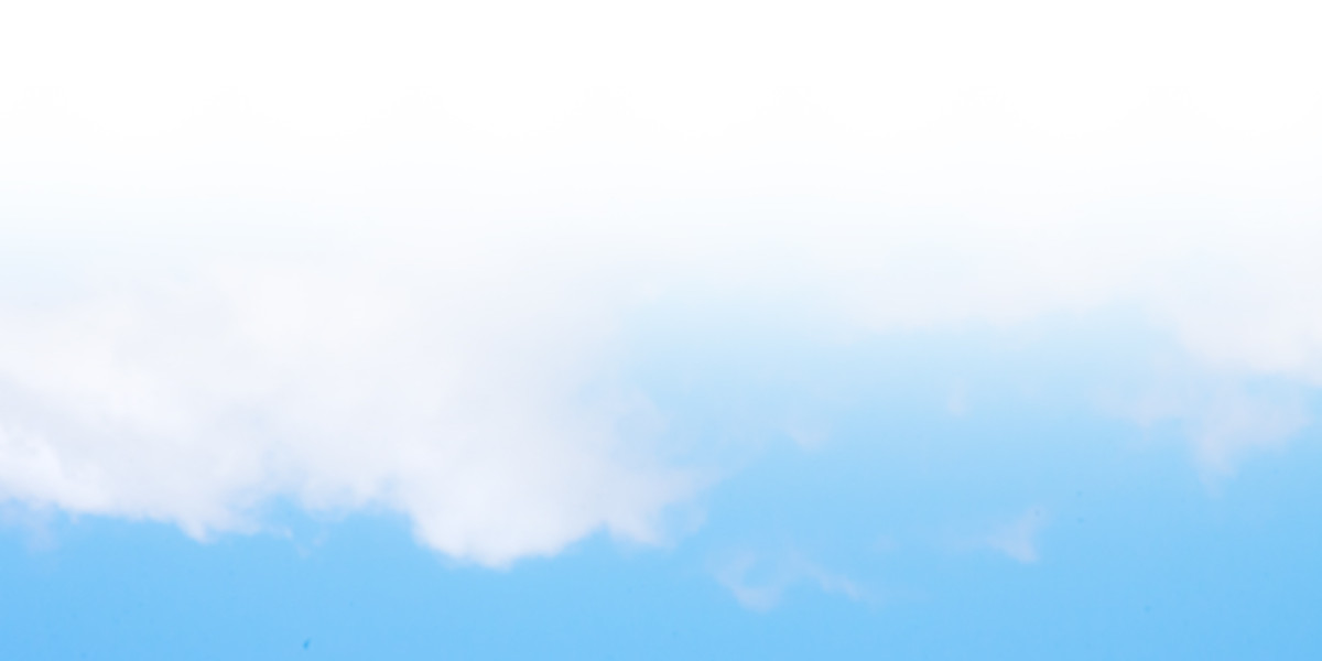 Shared Private Jet Flights: A Complete Research