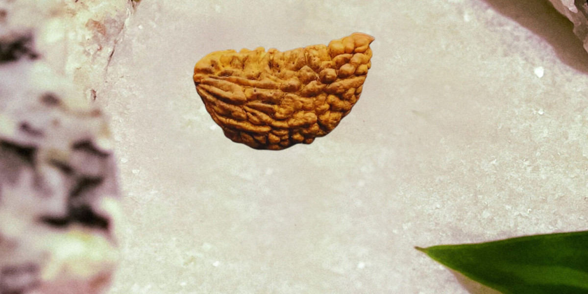 Understanding 1 Mukhi Round Rudraksha Price and Its Rarity