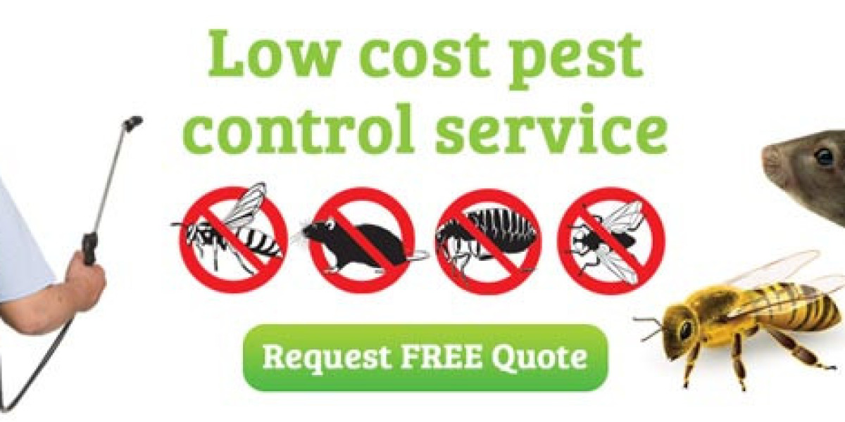 Building Safer Farming Practices Through Pesticide Training Classes