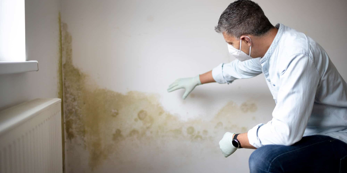 Professional Mold Inspection in Woodland, GA: Protect Your Home and Health