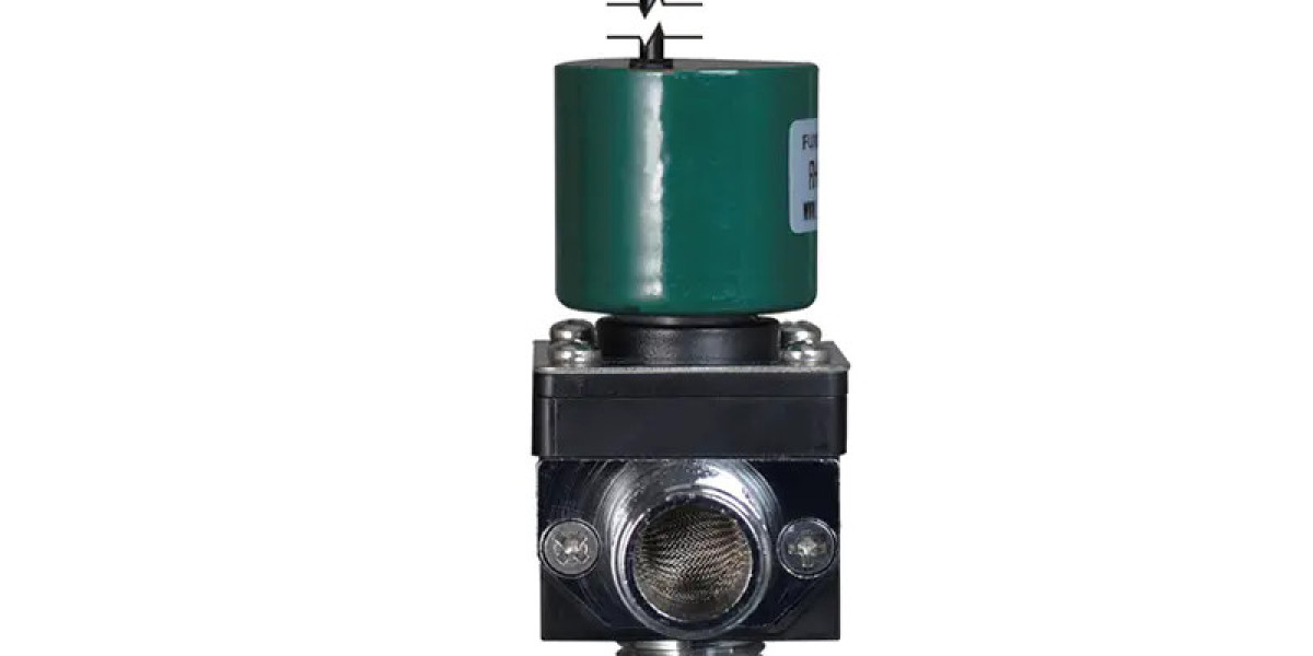 The Elegance Of Bi Stable Solenoid Valves