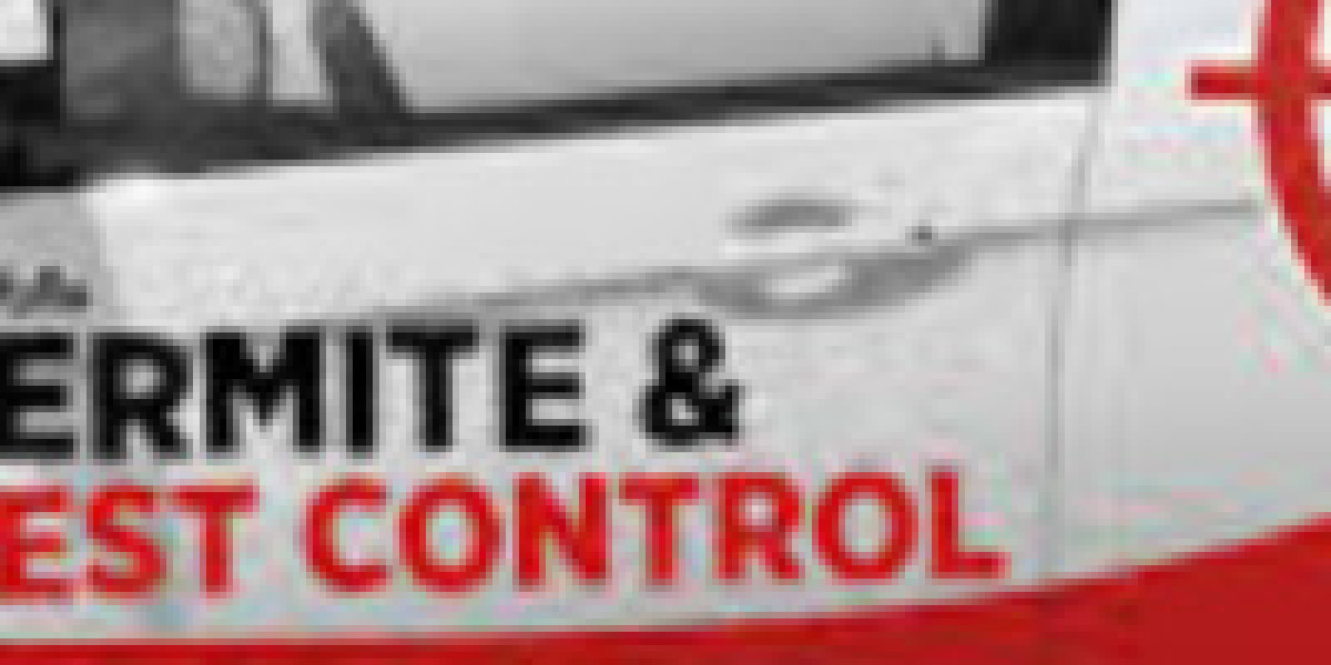 Termite Control in Laredo, TX: Protecting Your Property from the Ground Up