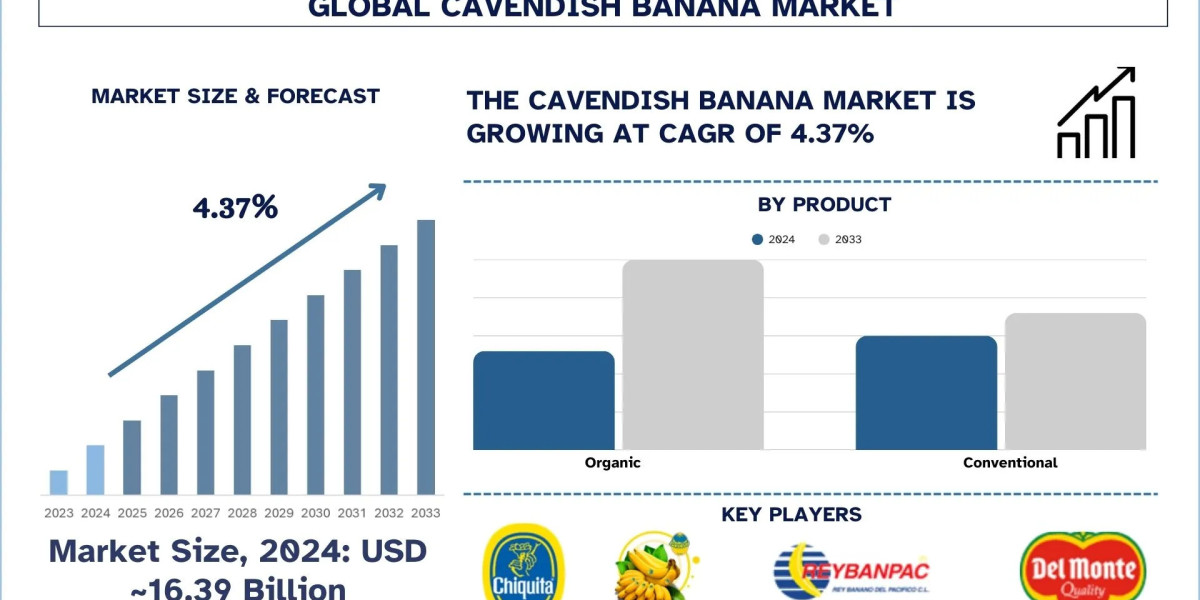 Cavendish Banana Market Report, Size, Overview, Trends & Analysis 2033
