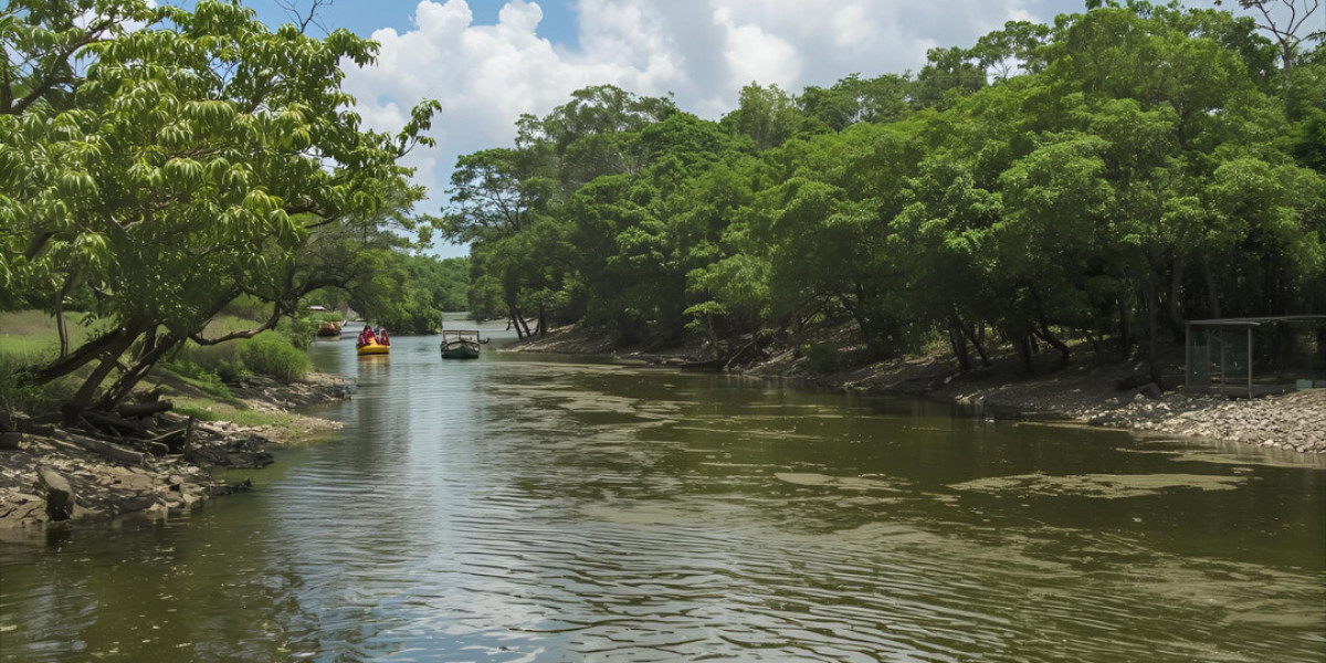 Adventure Awaits: Best Jamaica Tours and Trips with Bamboo River Rafting